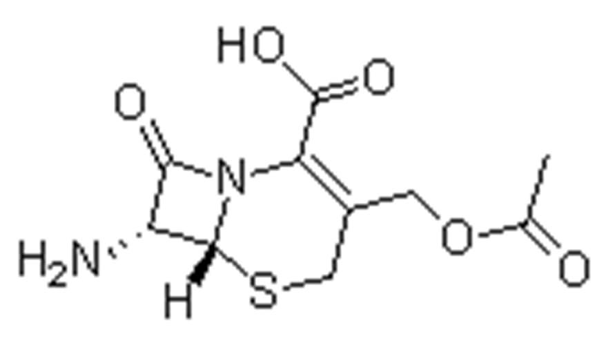 cas 957_68_6 7_Aminocephalosporanic acid